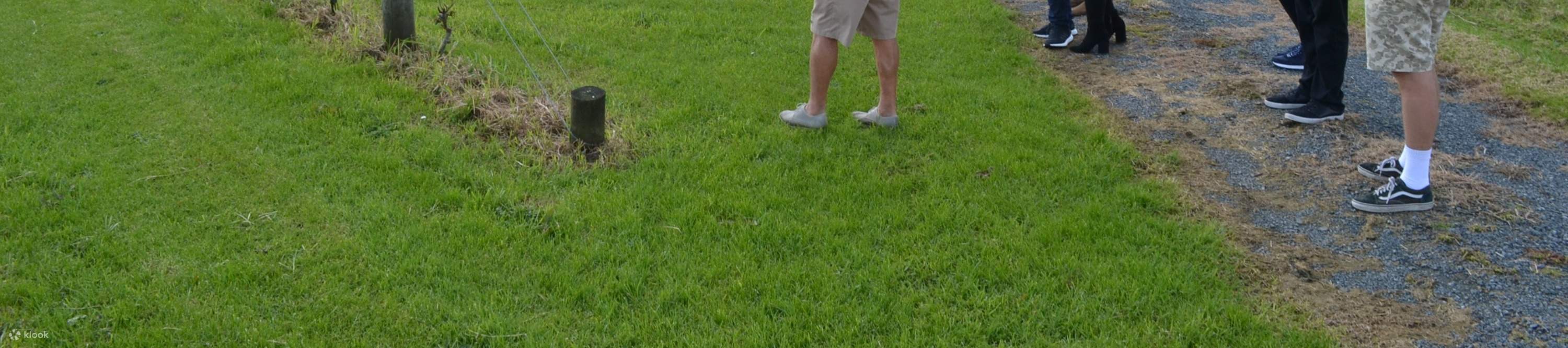 Découverte de sculptures éclatantes au milieu de vignobles luxuriants et de collines ondoyantes