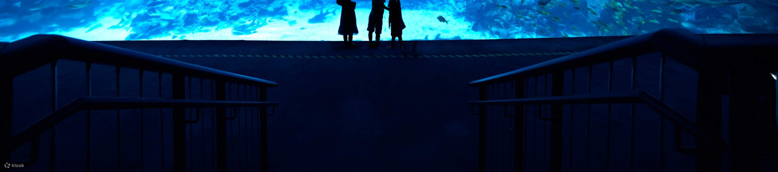 S.E.A. Aquarium Ticket Sentosa, Singapur