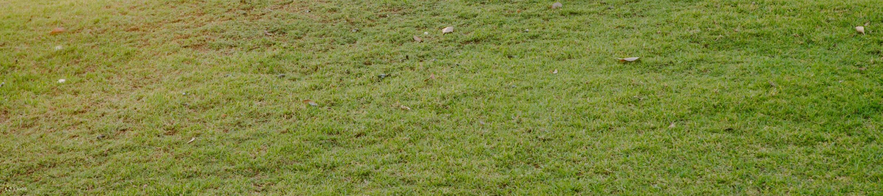 Känguru-Safari & Minigolf im Swan Valley