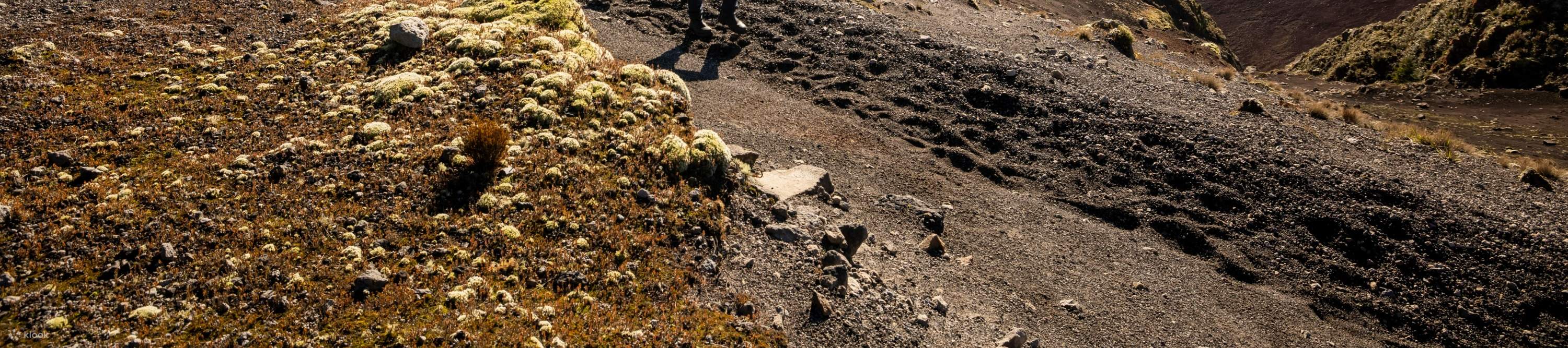 紐西蘭的自然奇景