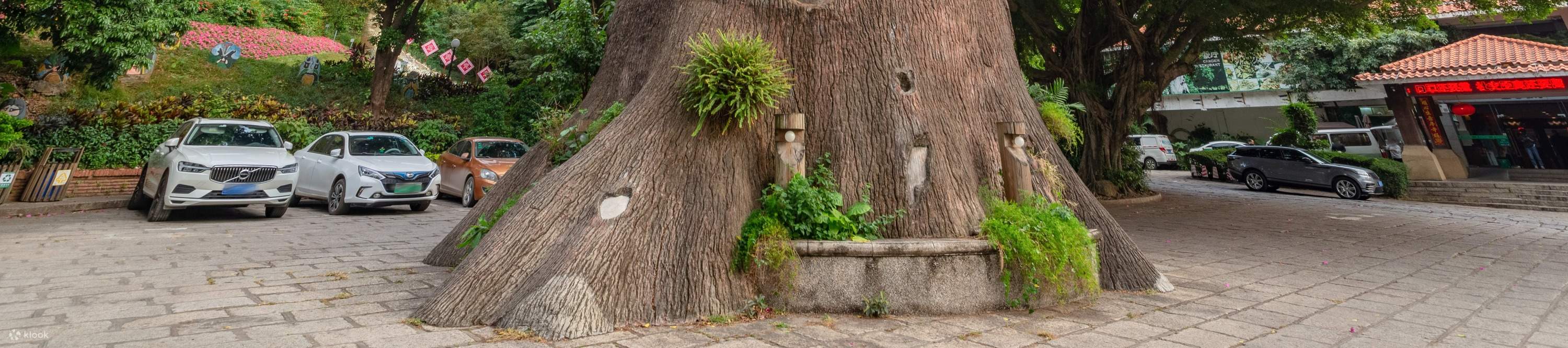 โรงแรมเซินเจิ้น ชิงชิง เวิลด์