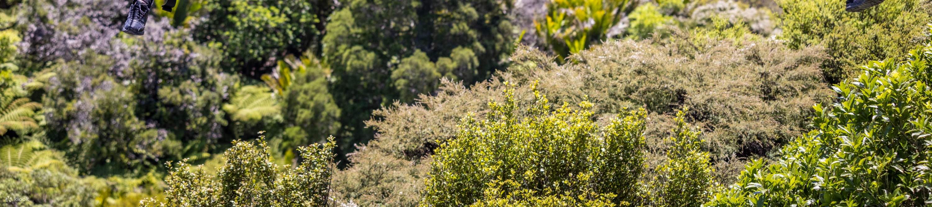 Penerokaan alam semula jadi di New Zealand
