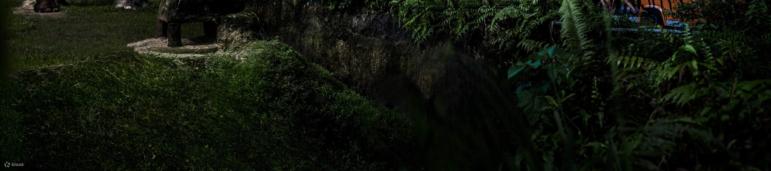 Night Safari Singapur Ticket mit Straßenbahnfahrt