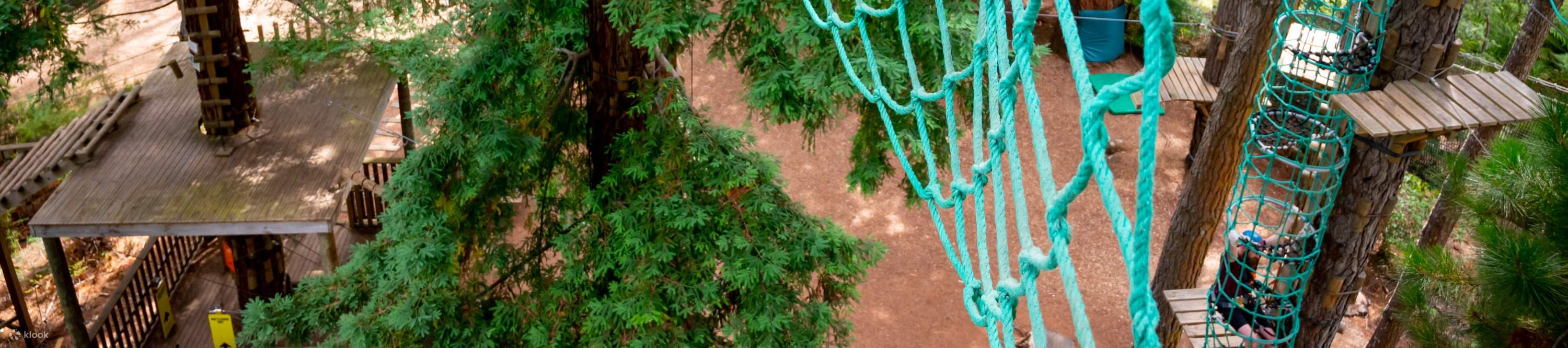 лазание по сетке