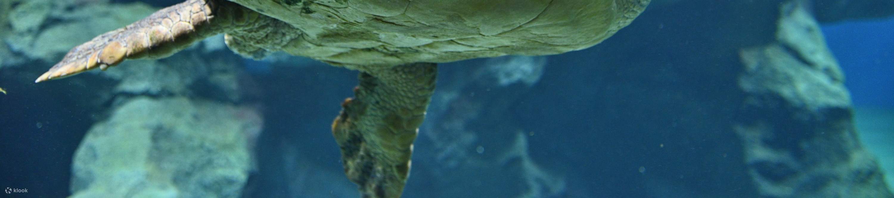 Port of Nagoya Public Aquarium