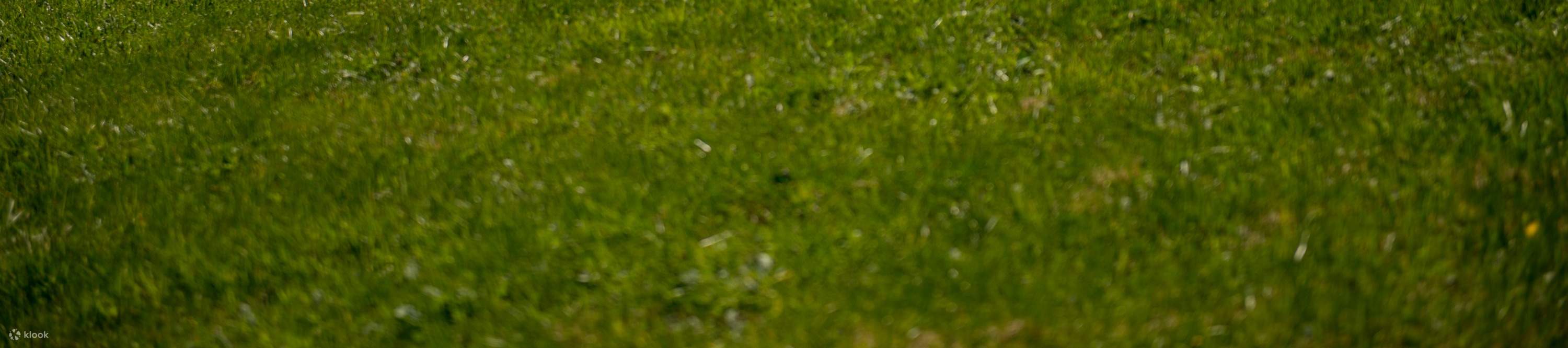 Monte Rigi - Biglietto Regina delle Montagne