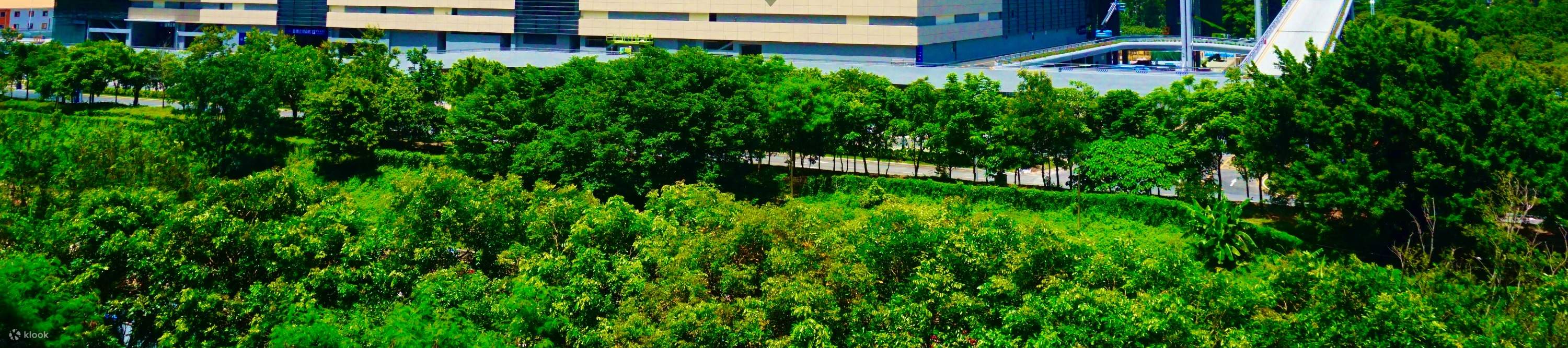 Tur satu hari grup belanja Shenzhen dengan mobil