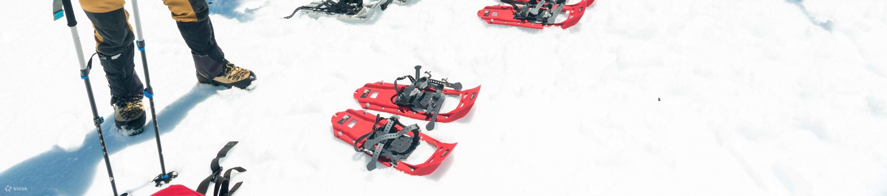 Equipment the wigley glacier hike snowshoe