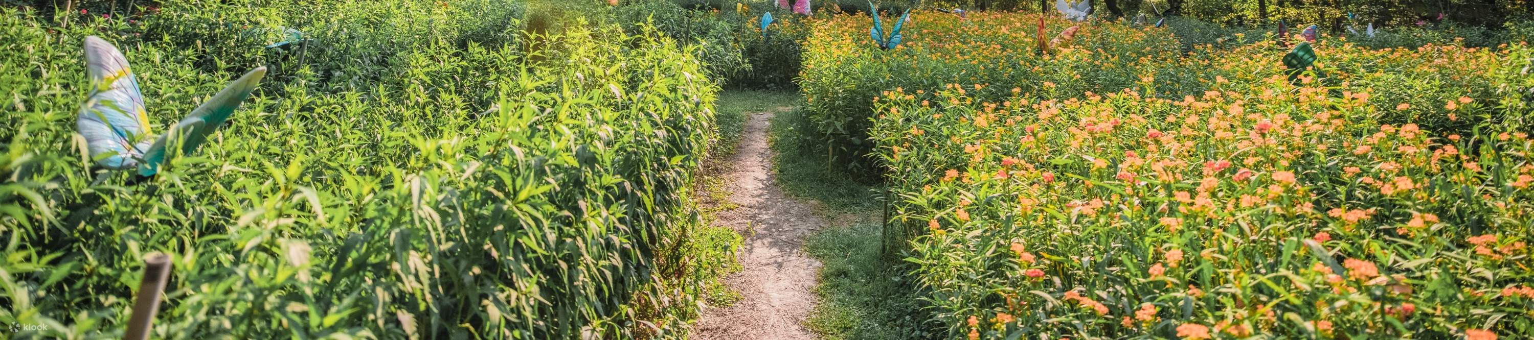 台一生態休閒農場