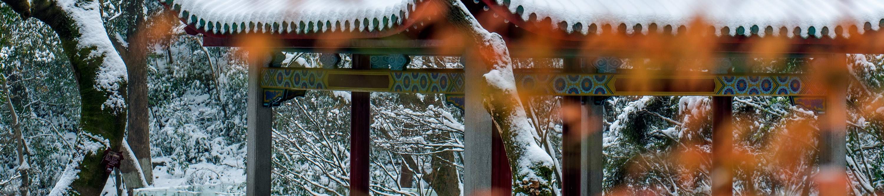 【Trường Sa】Thuê xe riêng tham quan một ngày