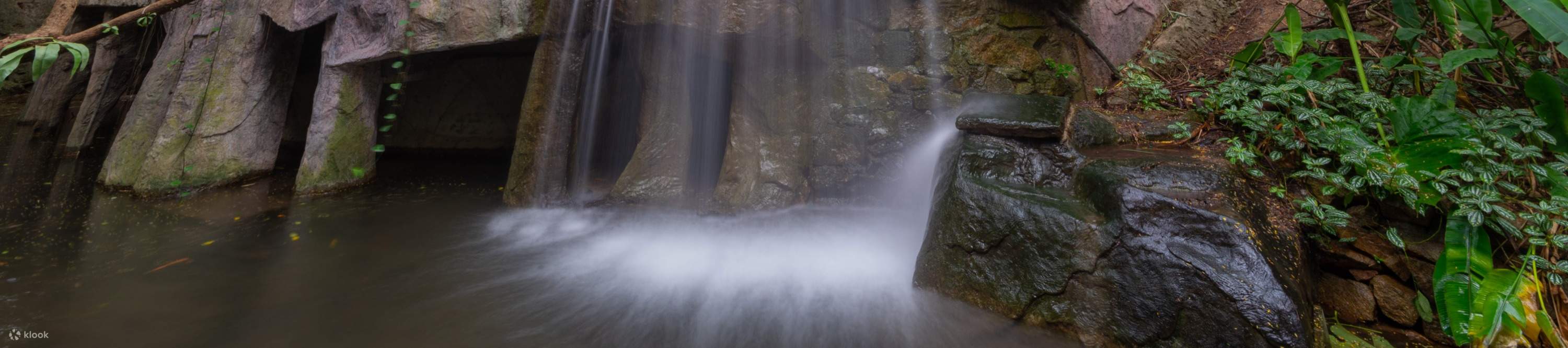 โรงแรมเซินเจิ้น ชิงชิง เวิลด์