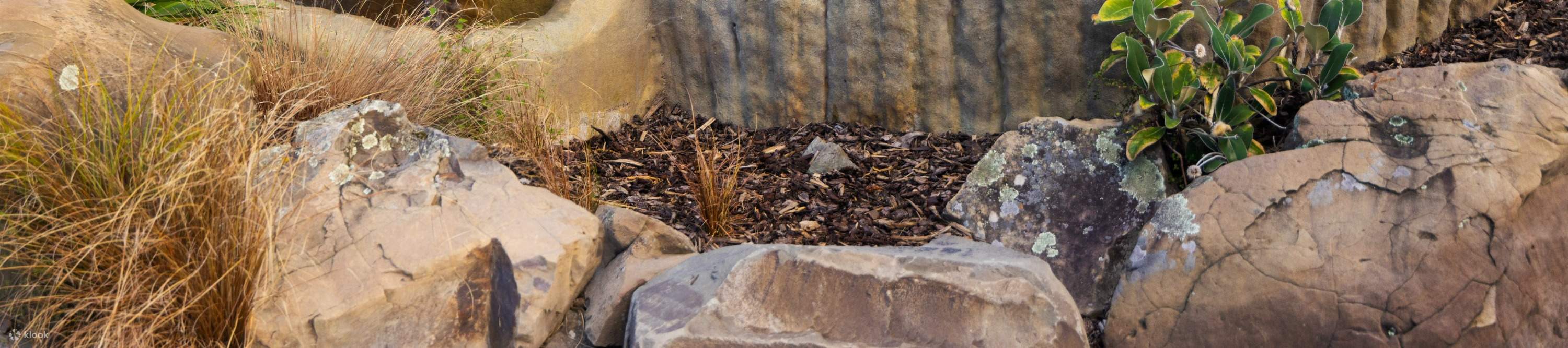 あらゆる世代の方に楽しんでいただけます