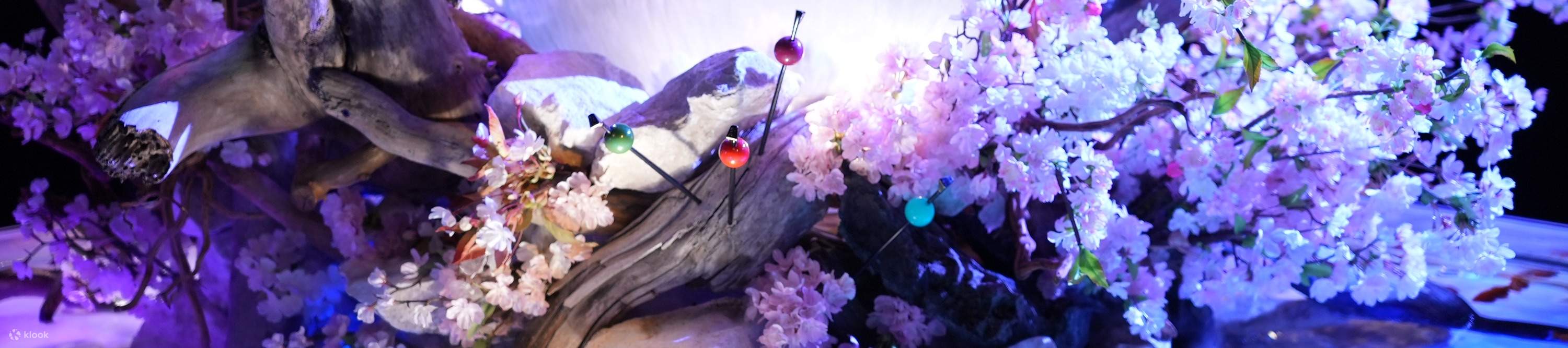 奈良金魚博物館