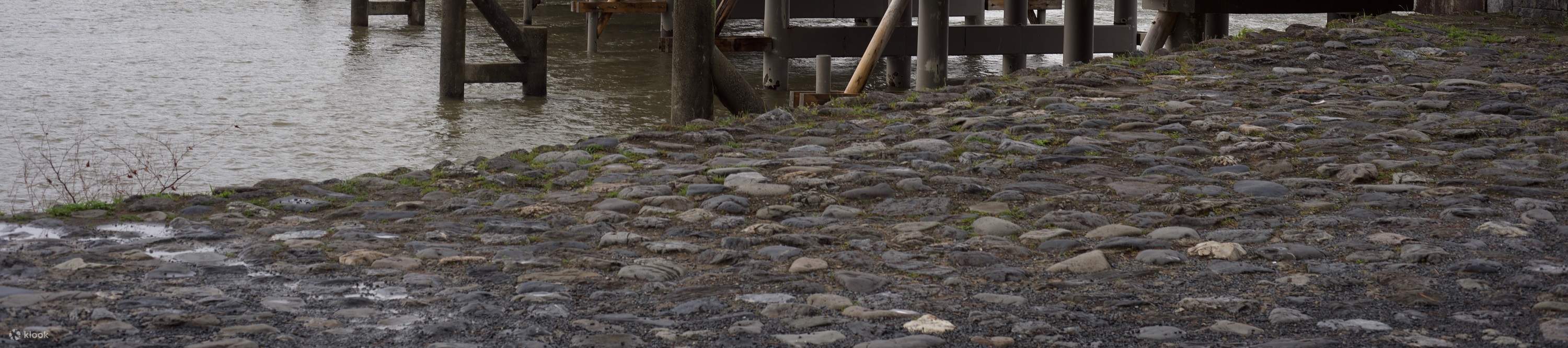 Khám phá Rừng Tre Arashiyama với Trải nghiệm Thiền đích thực