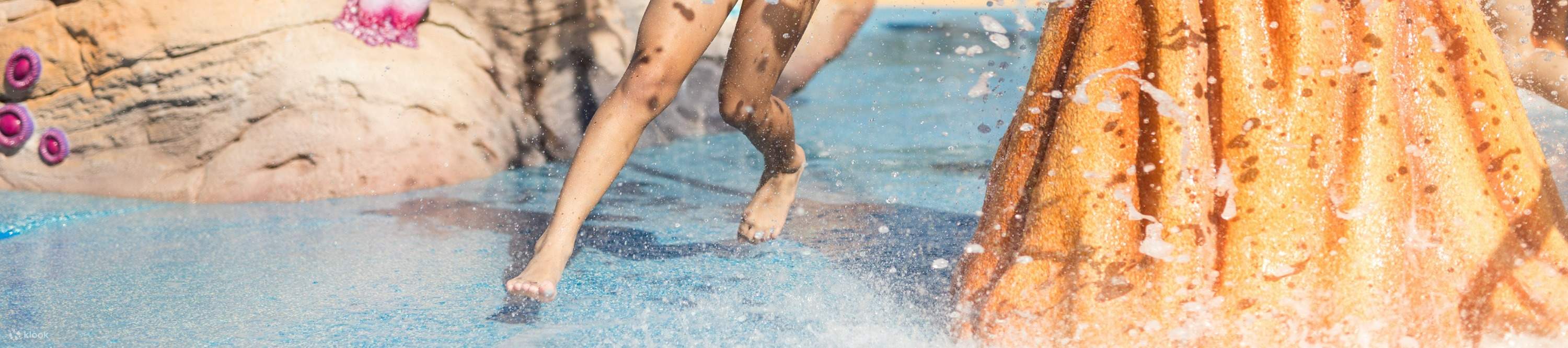 Esplora uno splendido habitat acquatico ricco di vita marina nella mostra Reef