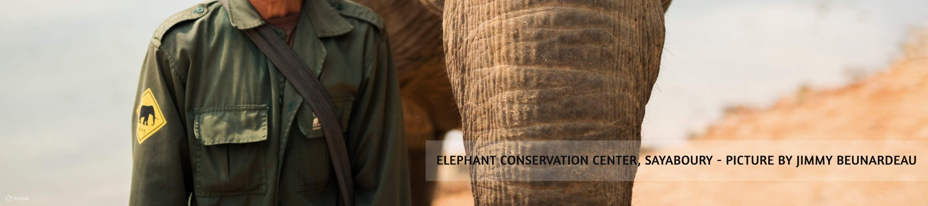 หนึ่งในควาญช้างยิ้มให้กับช้างของเขา