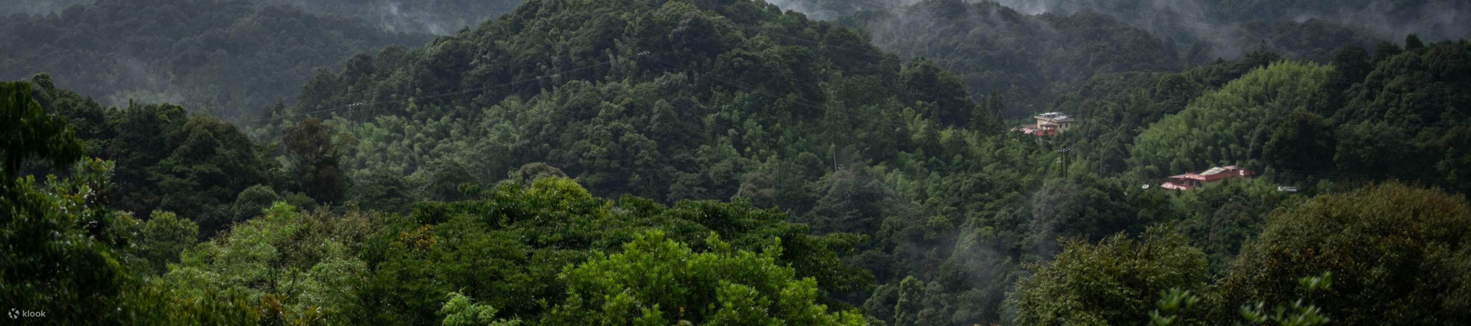 Camina por las montañas, respira aire fresco y siente las maravillas de la naturaleza