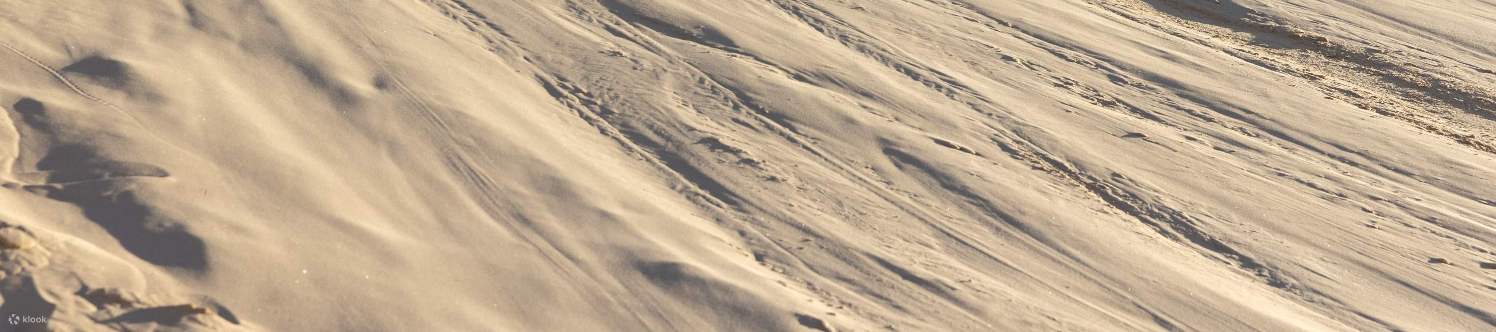 Instruction d'expert