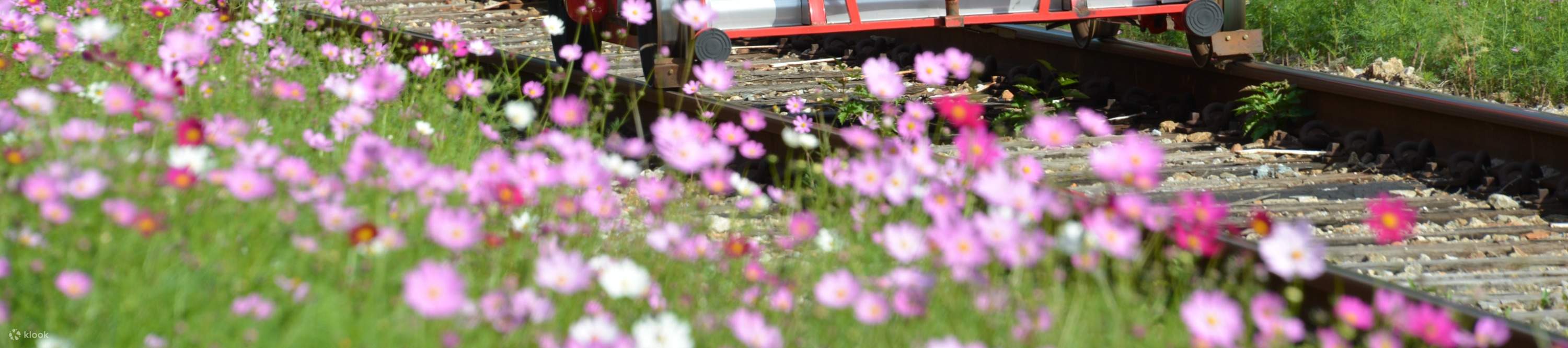 Женщины едут на дрезине и улыбаются