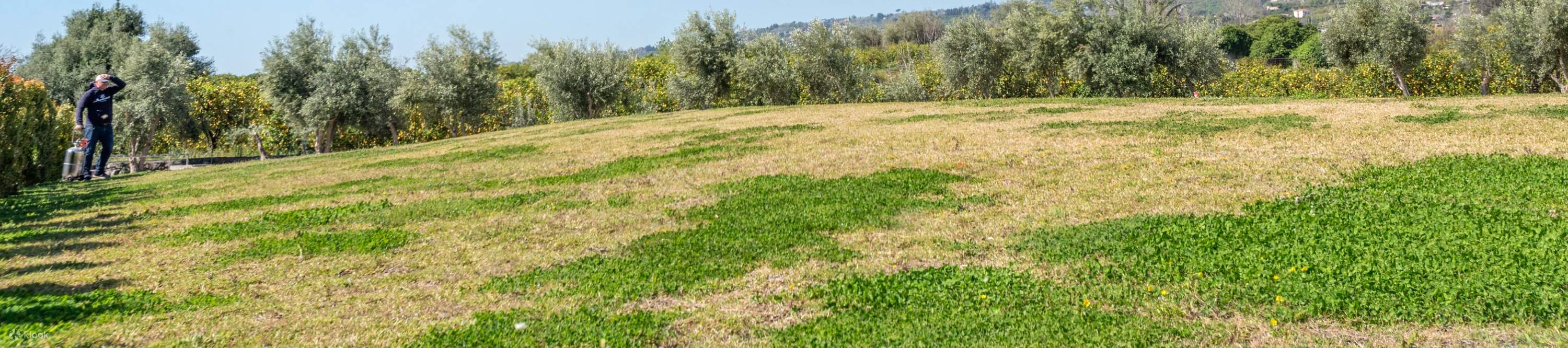 30 phút tham quan bằng trực thăng riêng núi lửa Etna