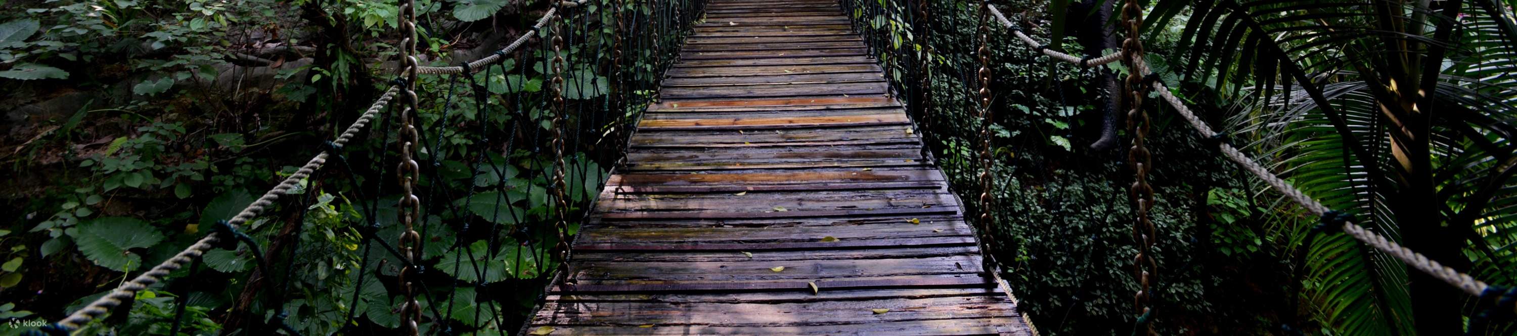 โรงแรมเซินเจิ้น ชิงชิง เวิลด์