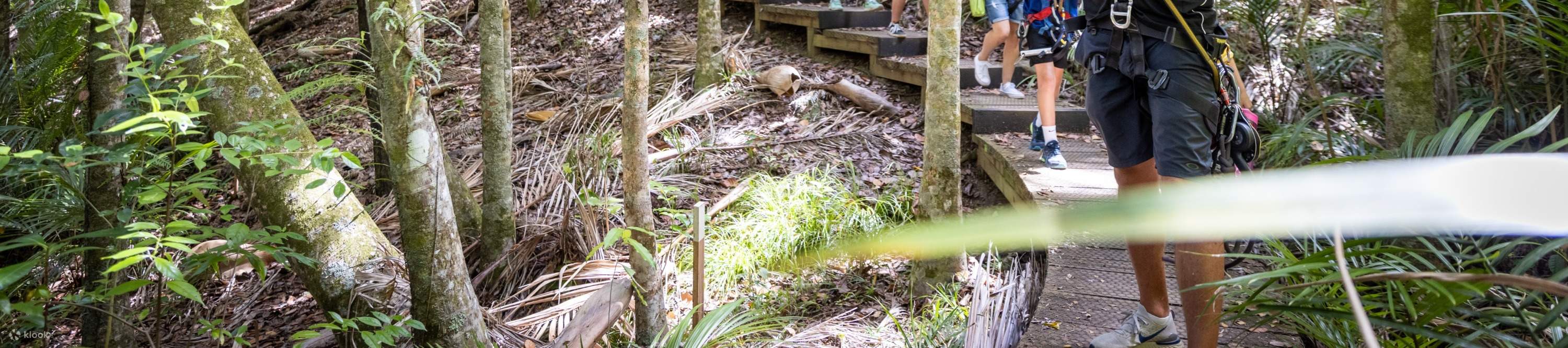 Незабываемые приключения на зиплайне