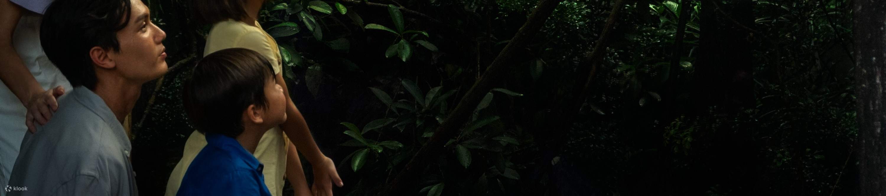 Singapore Shuttle Bus por Luxury Tours 