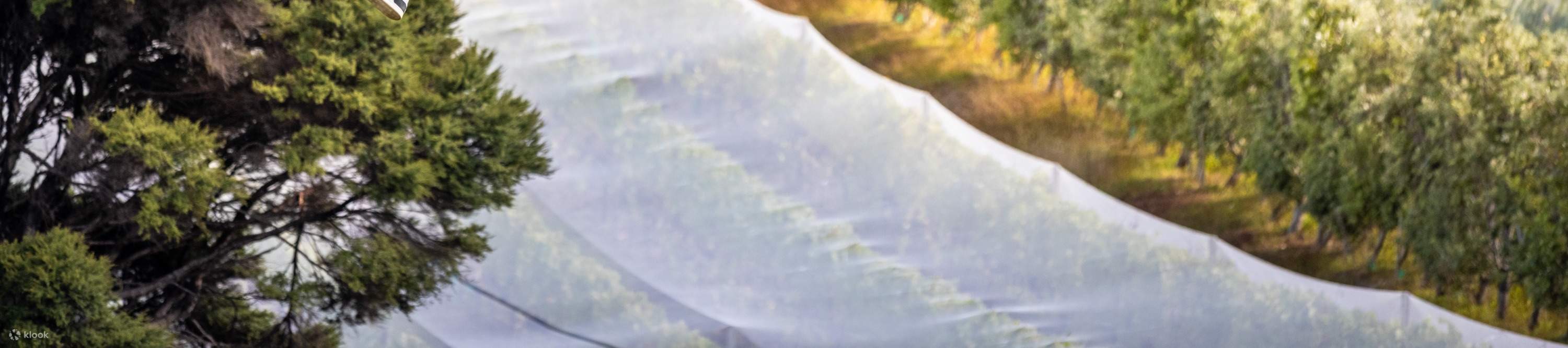 Экологичные туристические впечатления