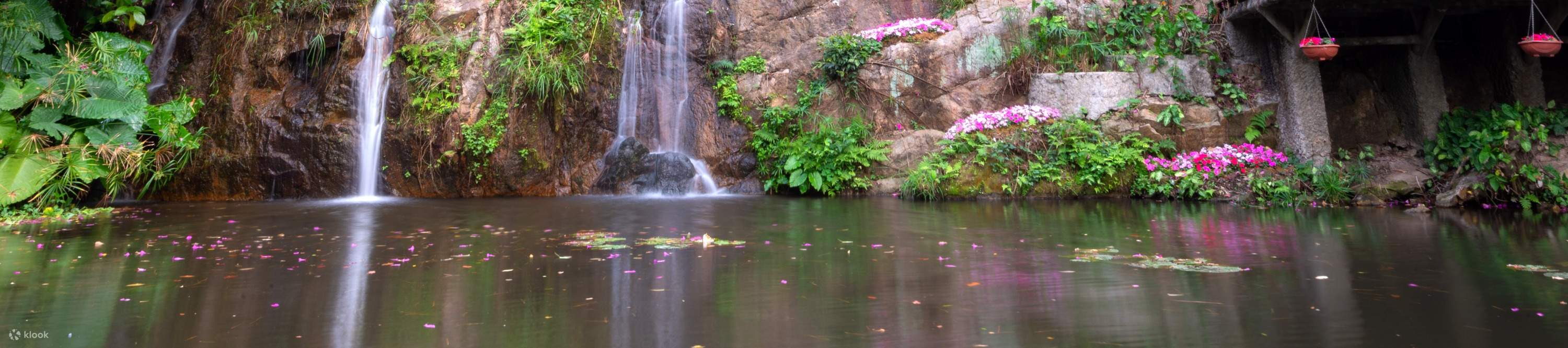 โรงแรมเซินเจิ้น ชิงชิง เวิลด์