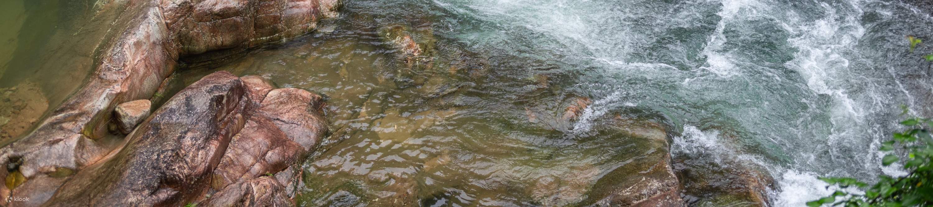 El arroyo gorgotea, cada paso es un paisaje, cada respiración es fresca