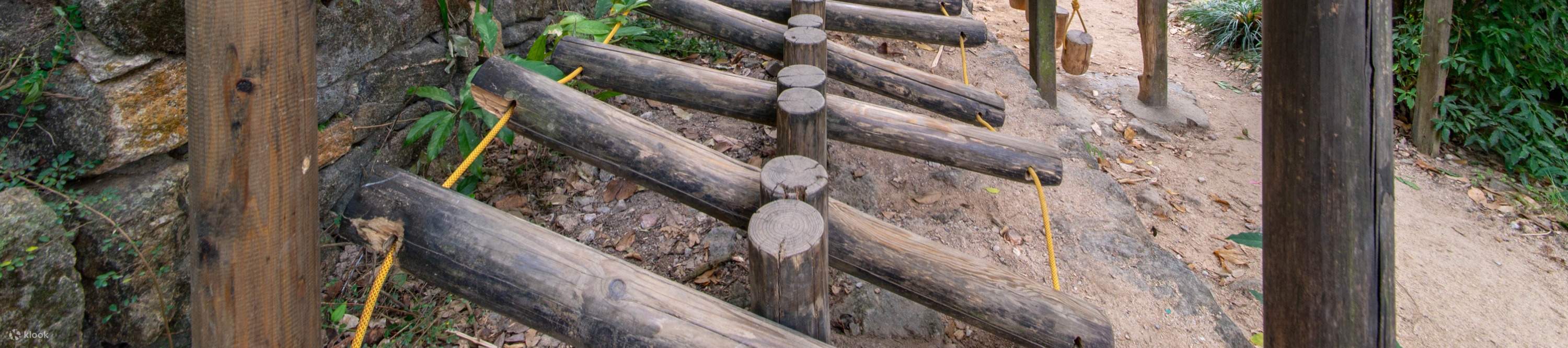 โรงแรมเซินเจิ้น ชิงชิง เวิลด์