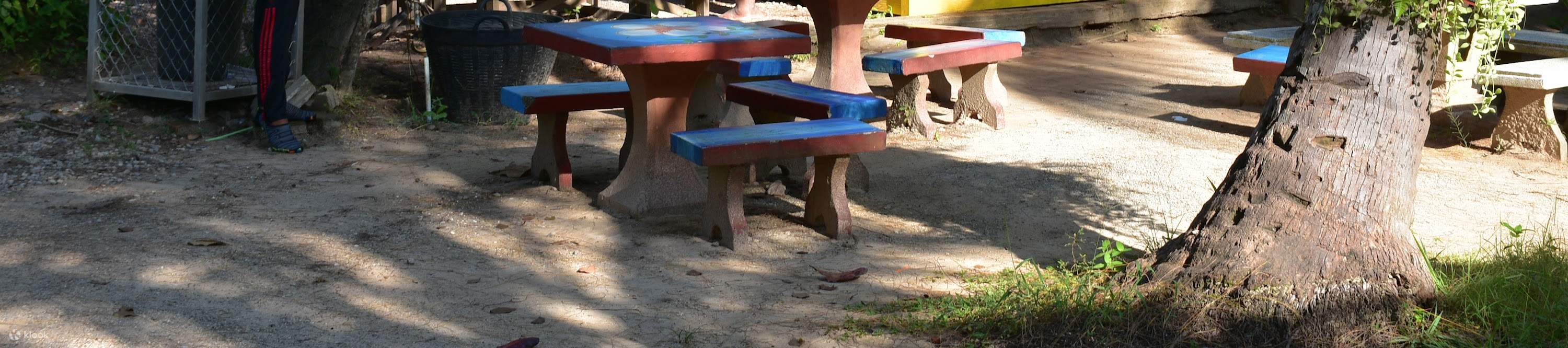 Kayak di mare di mezza giornata 