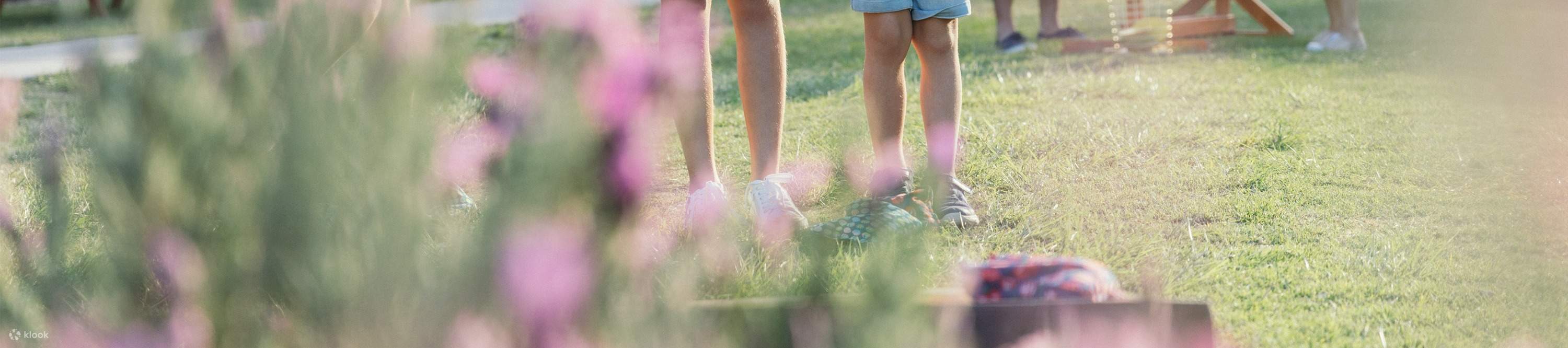 언덕 위에서 석양을 감상하며 그림 같은 풍경 속에서 휴식을 취해보세요.