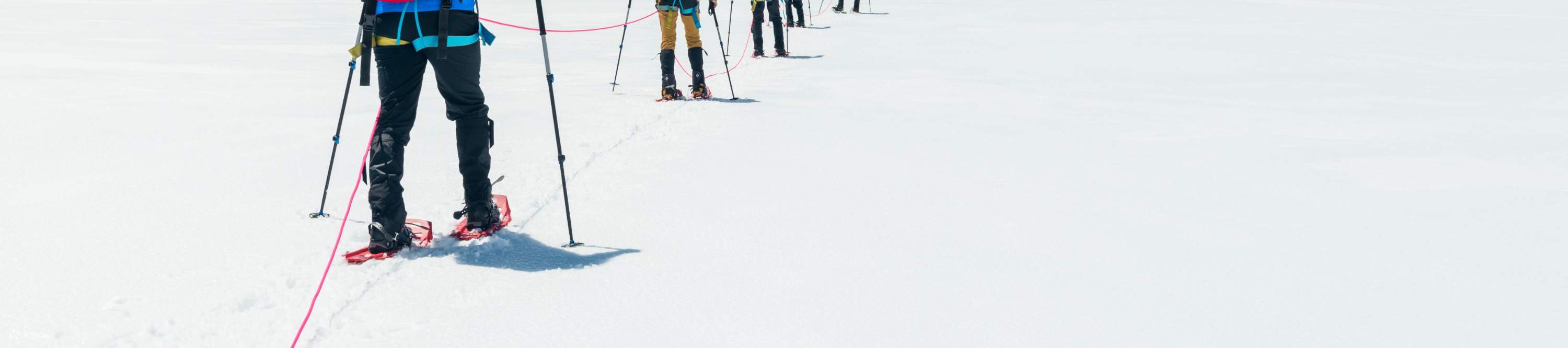 snow shoe Tasman Glacier klook