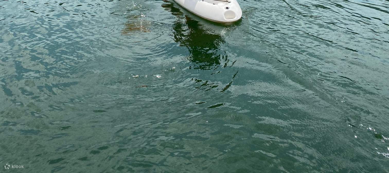 花蓮：鯉魚潭カヌー体験（インストラクター付き）