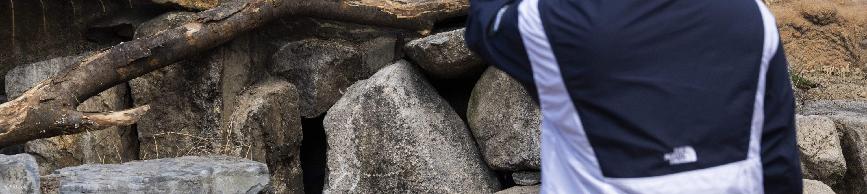 龍仁愛寶樂園Everland門票