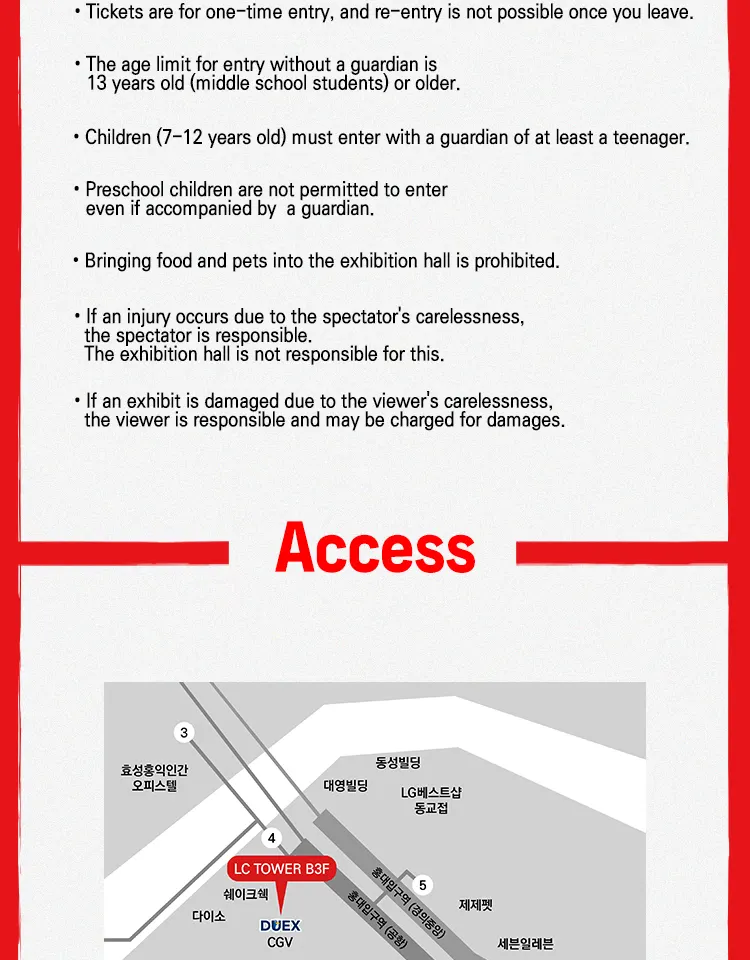 Seoul Tokyo Revengers Admission Ticket