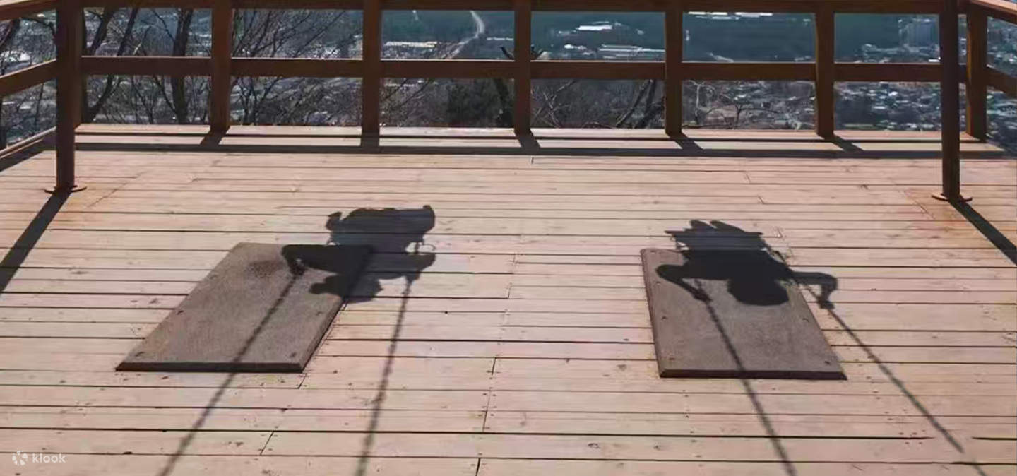 Mount Fuji and Lake Kawaguchi Panoramic Day Trip - Includes Mount Tenjo ...