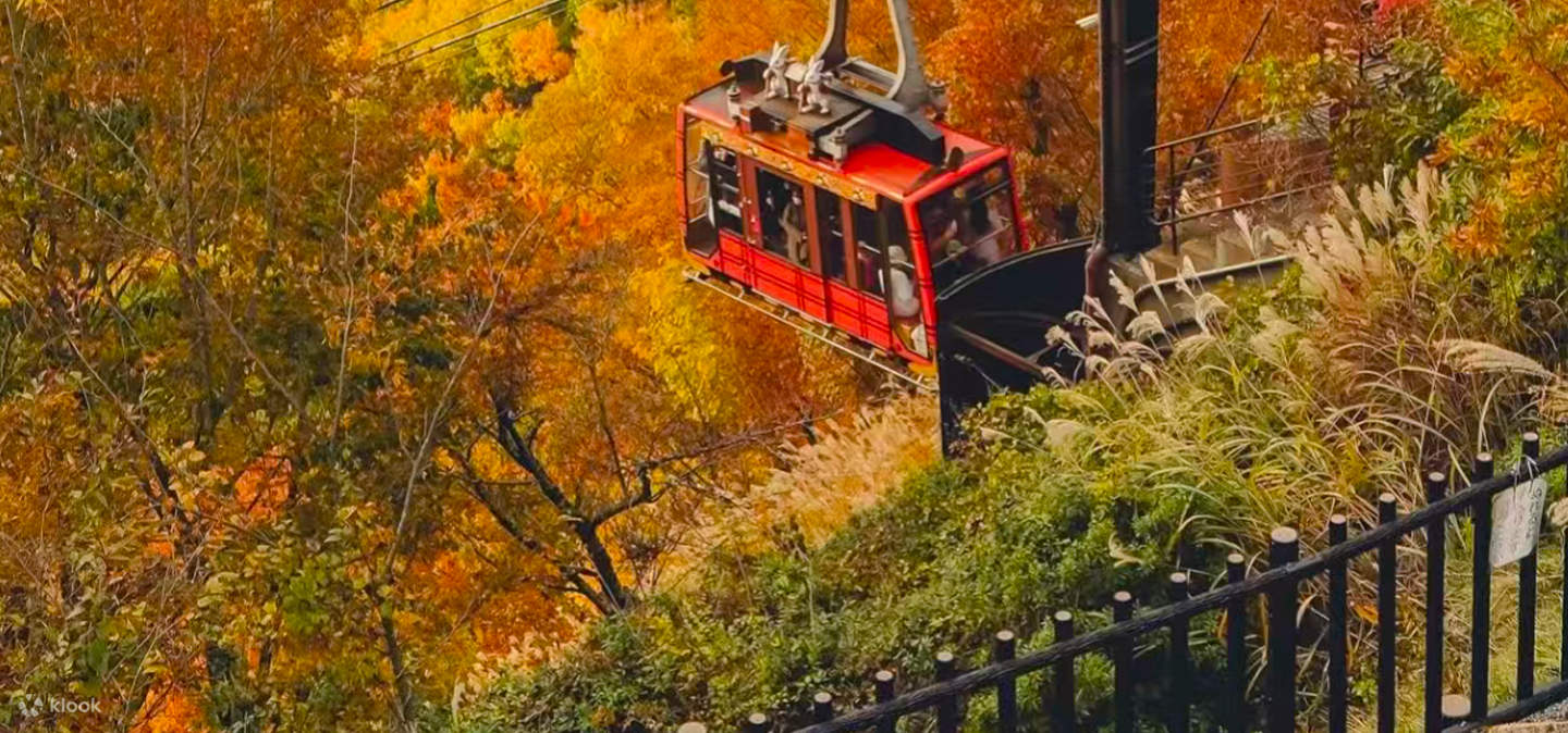 Mount Tenjo Ropeway Mount Fuji and Lake Kawaguchi Panoramic Day Trip - Includes Mount Tenjo ...
