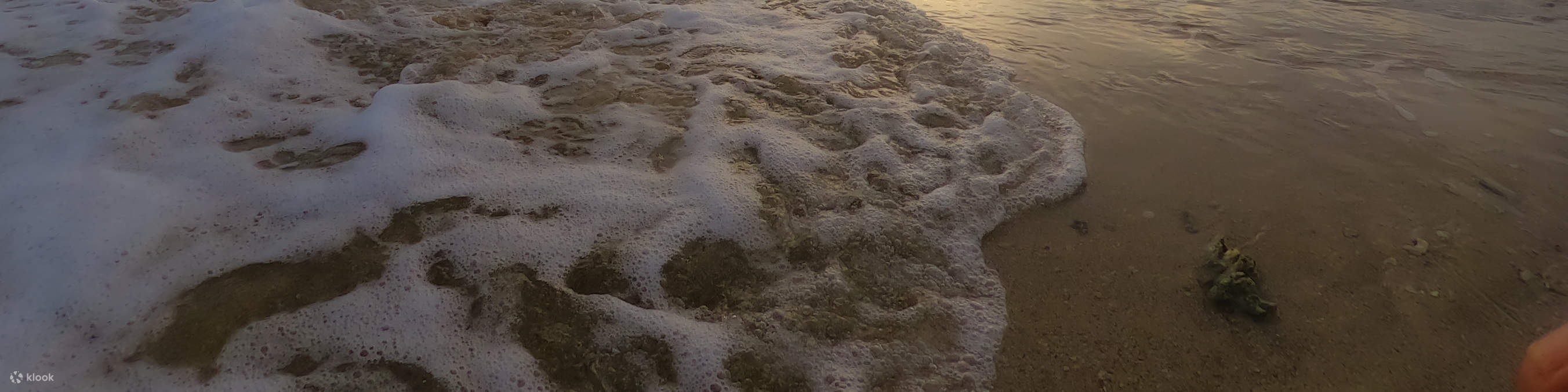 Ngoài chụp ảnh, điều quan trọng nhất đối với chúng tôi là niềm vui và sự hạnh phúc của bạn như một kỷ niệm đẹp để mang về nhà