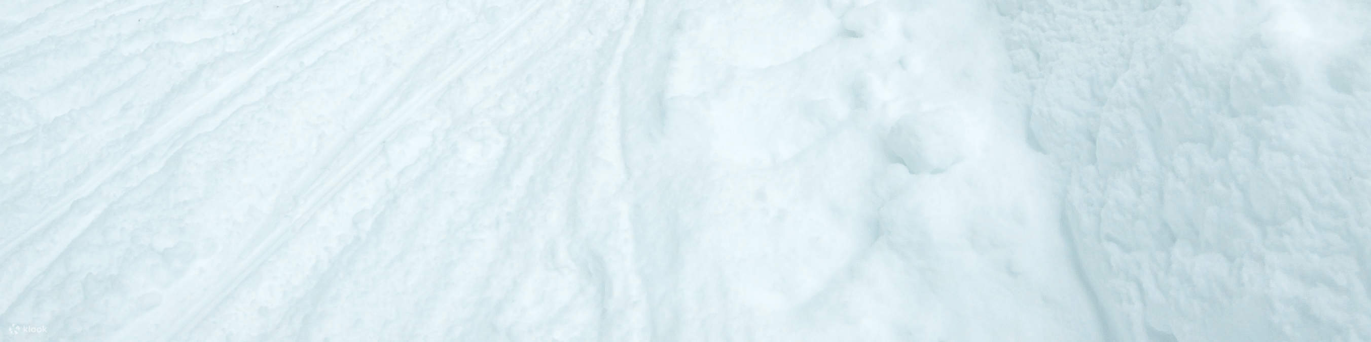 인터라켄에서 출발하는 겨울 알파인 어드벤처