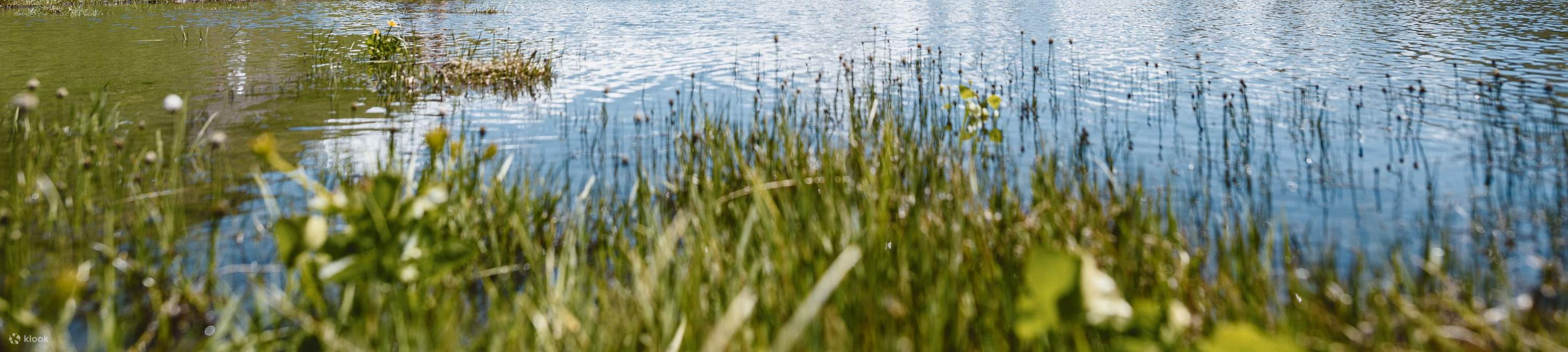 Randonnée au Bachalpsee