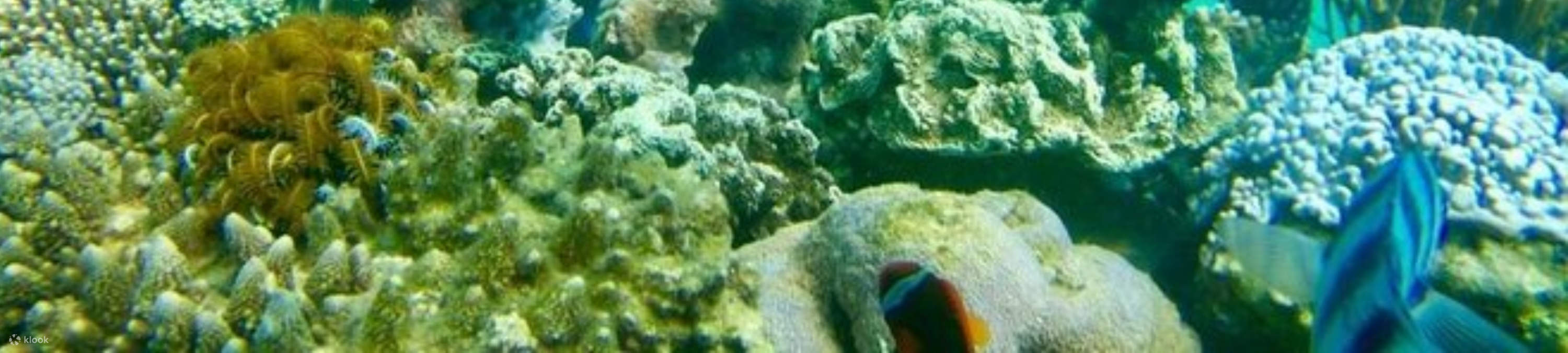 峇里岛海底漫步及水上活动体验，可选观光行程