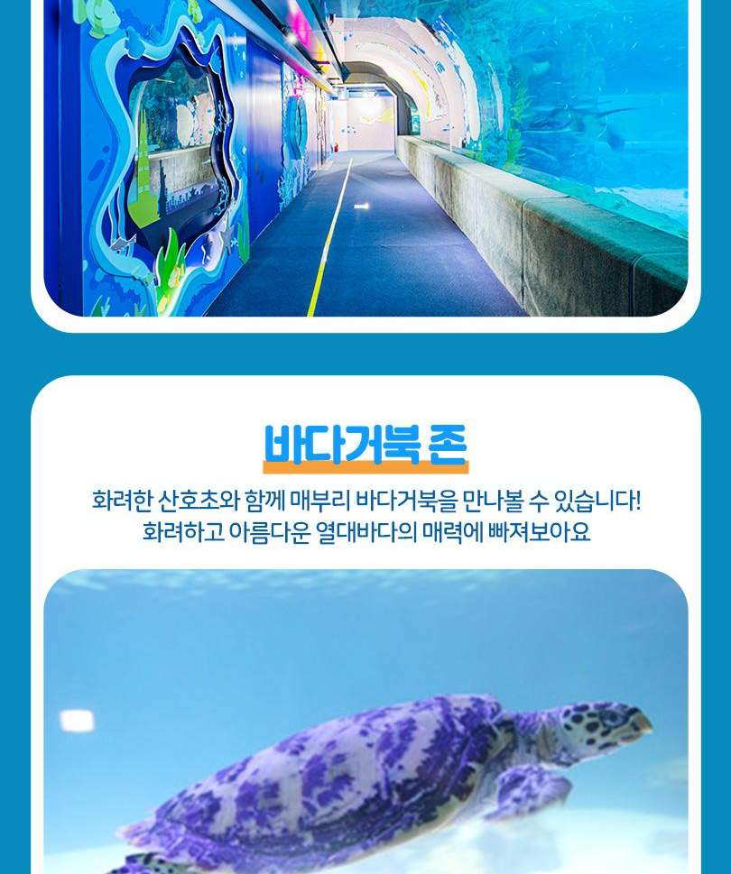 서울스카이 + 롯데월드 아쿠아리움 입장권