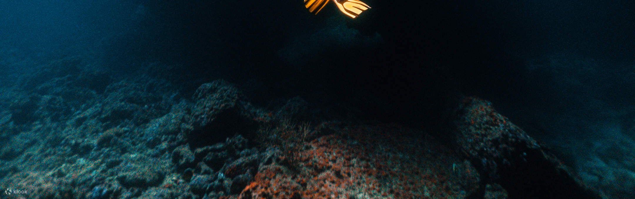 Морской мир