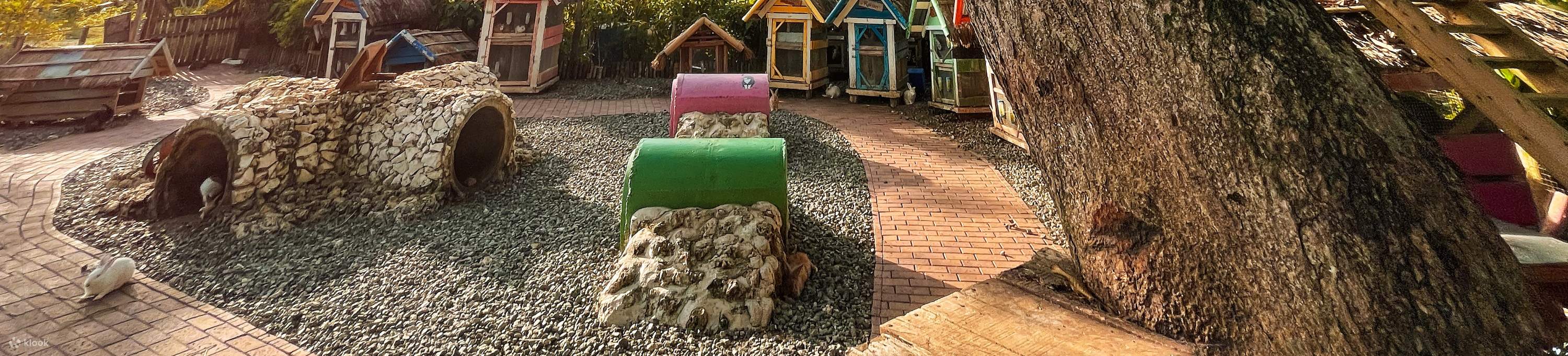 사우스 팜 당일 이용권