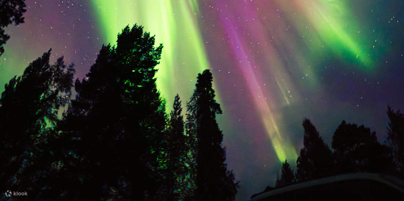 写真撮影付きオーロラ鑑賞ツアー
