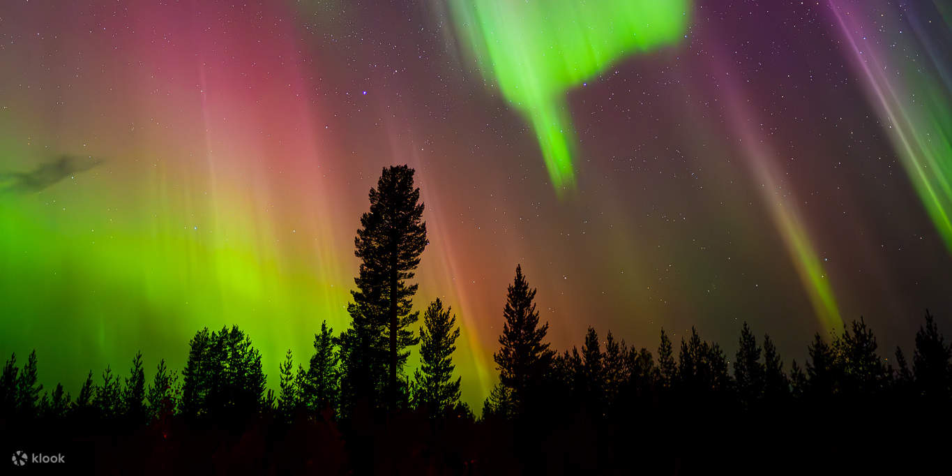 写真撮影付きオーロラ鑑賞ツアー