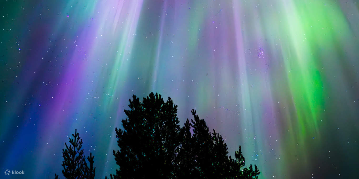 Guaranteed Aurora Hunting with Photography