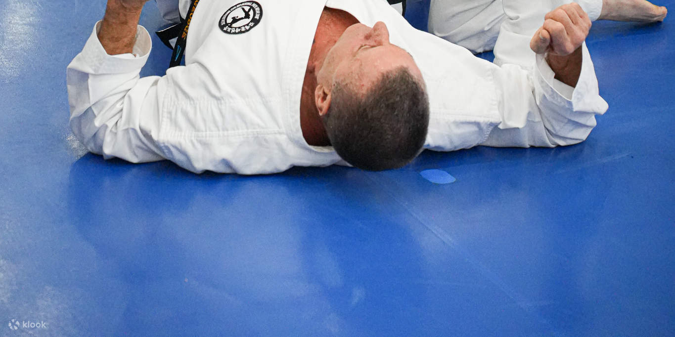 Authentic Taekwondo Class in Ilsan Gyeonggi near Seoul - Klook